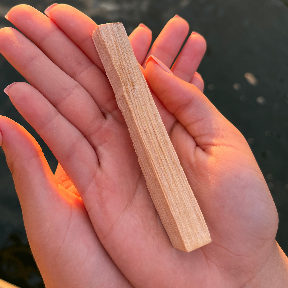 Palo Santo Wood