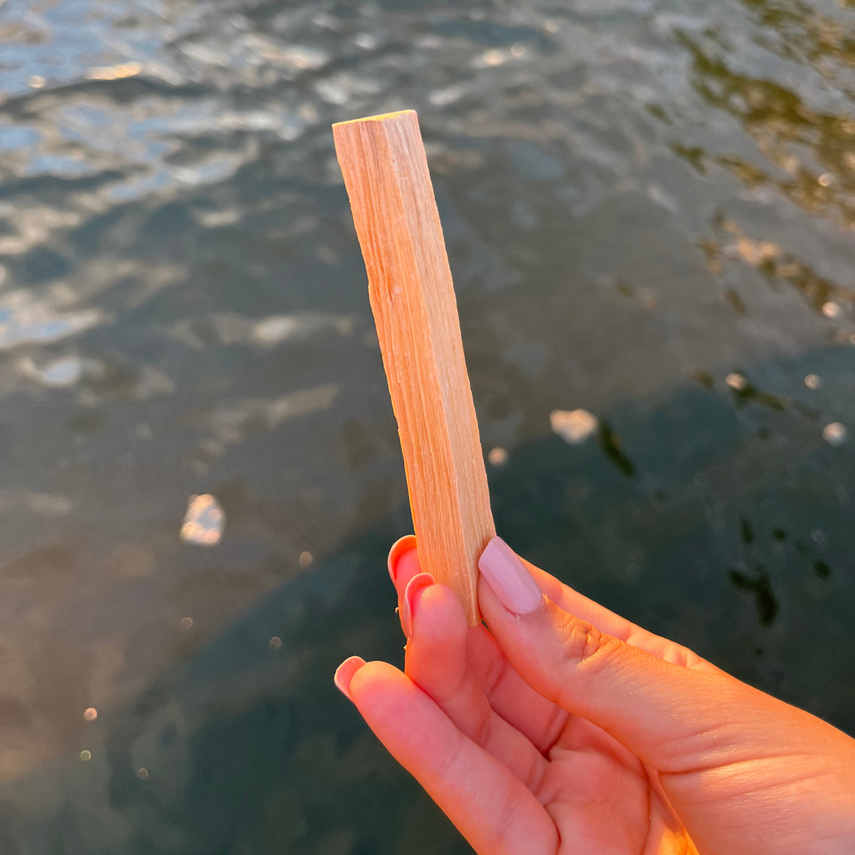 Palo Santo Wood