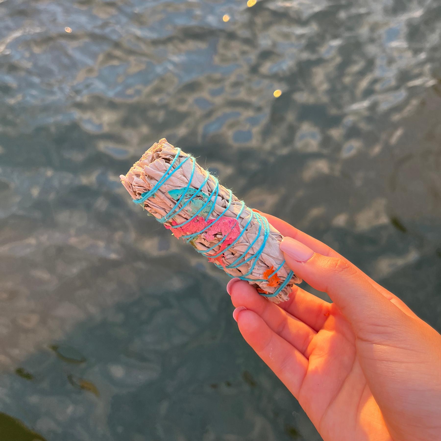 White Sage Rose - Smudge Stick