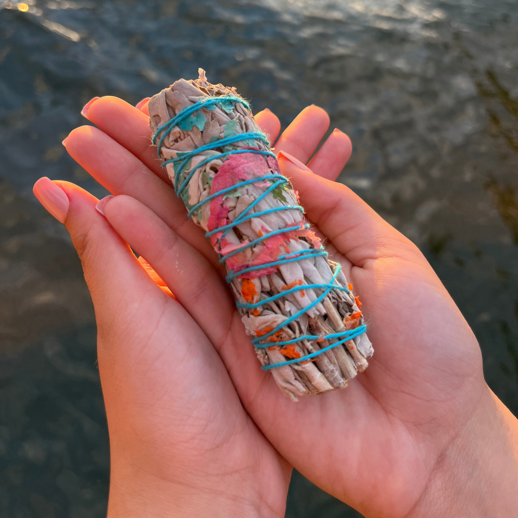White Sage Rose - Smudge Stick