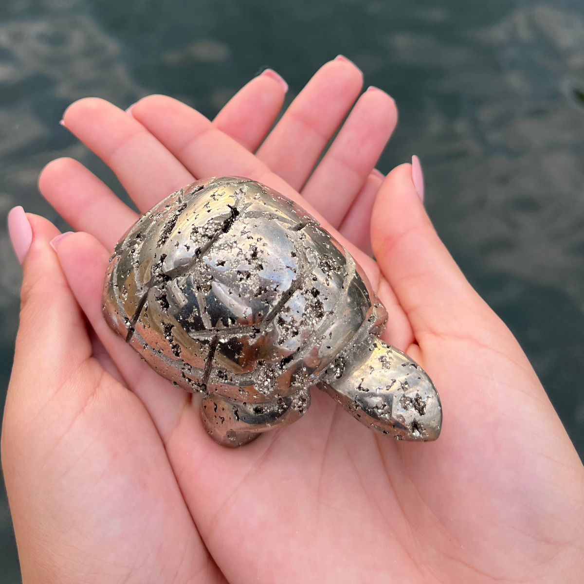 Pyrite Turtle - From Peru