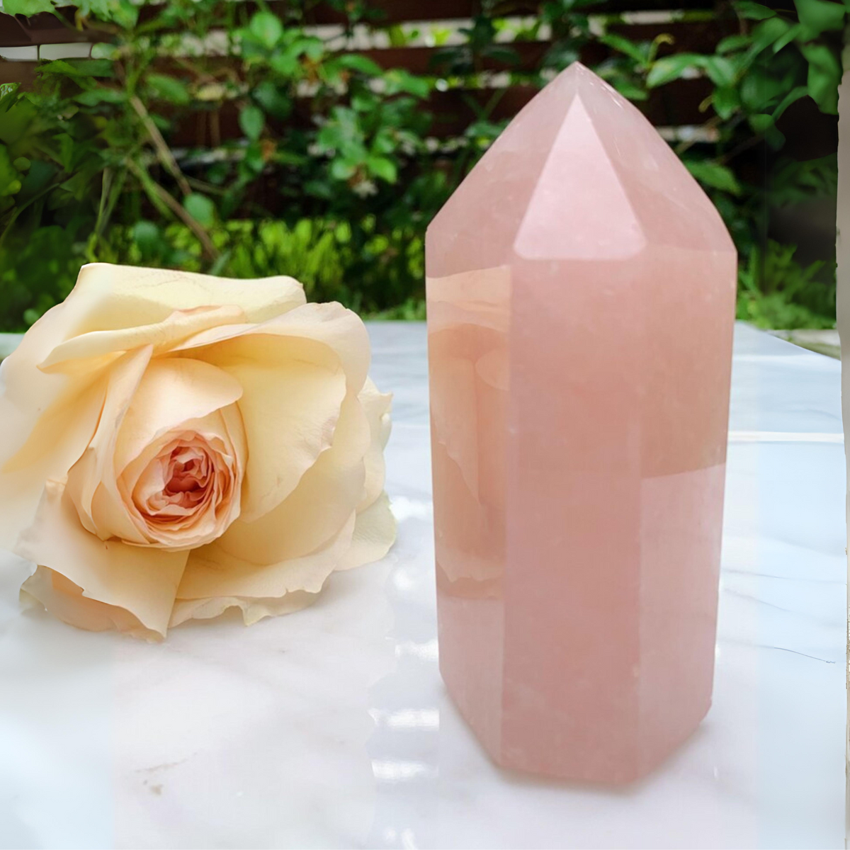 Rose Quartz Points